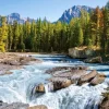 Canada, Parc National de Jasper : Rivière Athabasca