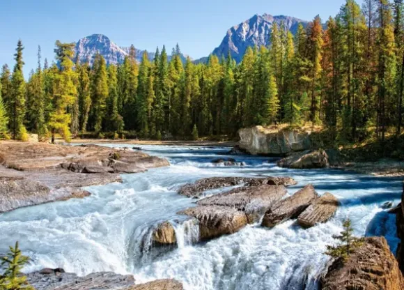 Canada, Parc National de Jasper : Rivière Athabasca