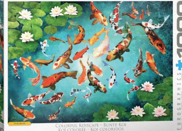 Carpes Koi Colorées