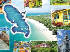 Carte Postale de la Martinique