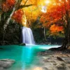 Cascade dans la Forêt