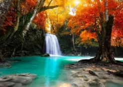 Cascade dans la Forêt