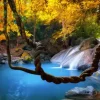 Cascade en Forêt à l'Automne