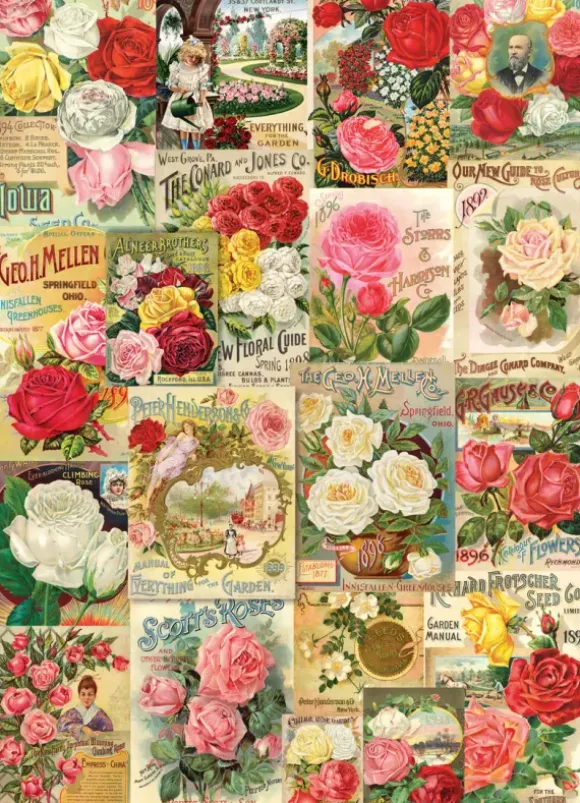 Catalogue de Graines de Roses