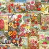 Catalogues de Graines de Fleurs