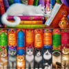 Cat Bookshelf