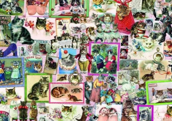 Cats