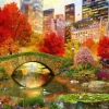 Central Park NYC