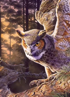 Chasseur le Soir
