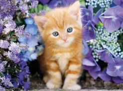 Chaton dans les Fleurs