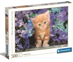 Chaton dans les Fleurs