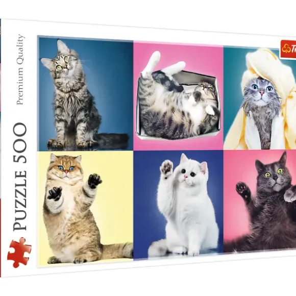 Chatons
