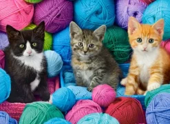 Chatons