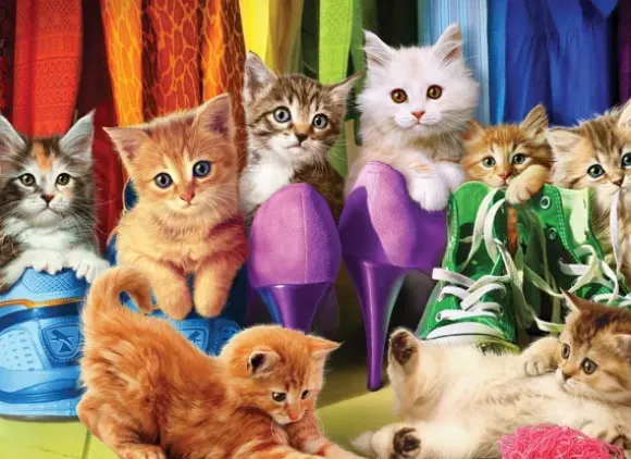 Chatons