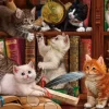 Chatons dans la Librairie
