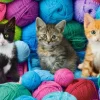 Chatons dans un Magasin de Laine