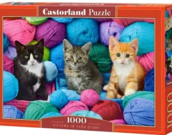 Chatons dans un Magasin de Laine