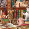 Chatons de Bibliothéque