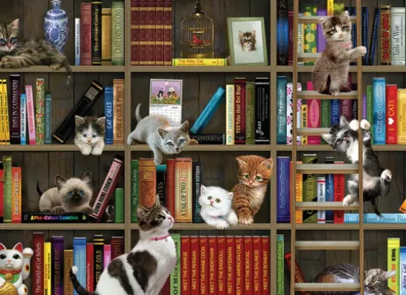 Chatons de Bibliothèque