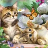 Chatons Espiègles
