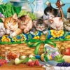 Chatons qui Font la Sieste