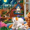 Chatons sur le Toit