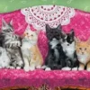 Chatons sur un Fauteuil