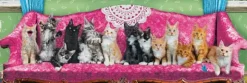 Chatons sur un Fauteuil