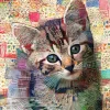 Chaton Tigré Matelassé