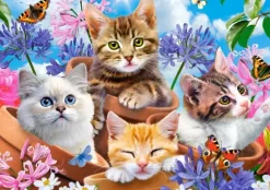 Chats avec Fleurs