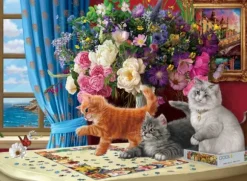 Chats Curieux