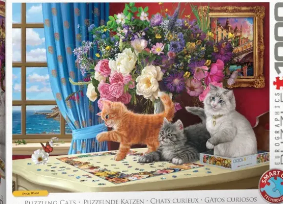 Chats Curieux