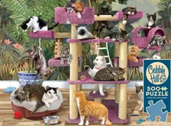 Chats de la Jungle
