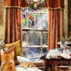 Chats D'Hiver