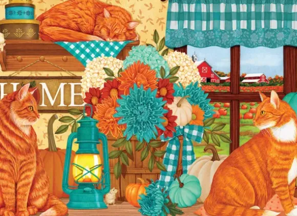 Chats du Champ de Citrouilles