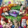 Chats sur le Sofa