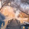 Chemin des Lanternes - Diego Hernandez