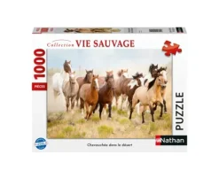 Chevauchée dans le Désert