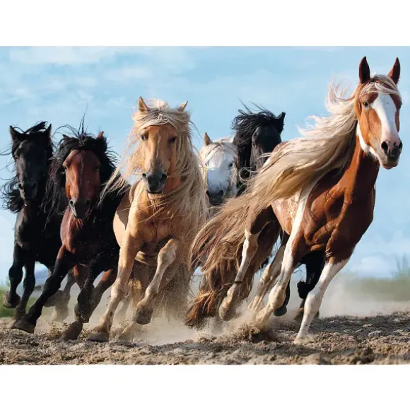 Chevaux