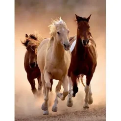 Chevaux au Galop I