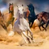 Chevaux dans le Désert