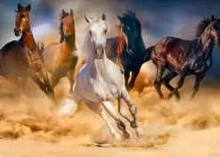 Chevaux dans le Désert