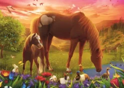 Chevaux Dans Le Pré