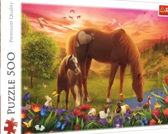 Chevaux Dans Le Pré