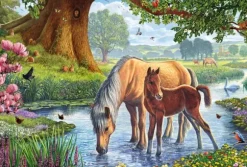 Chevaux dans le Ruisseau