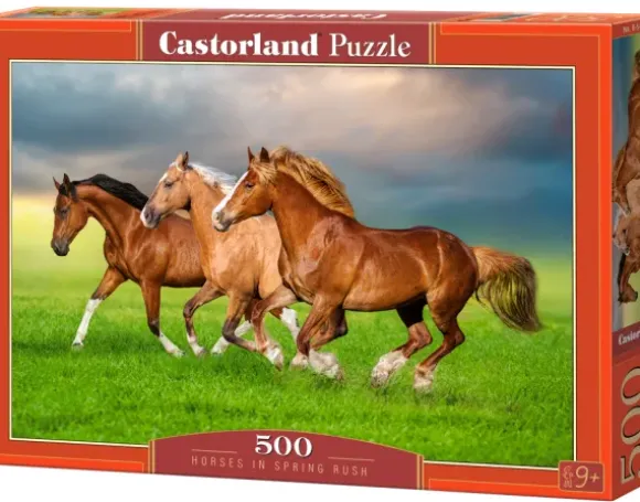 Chevaux en Ruée Vers le Printemps