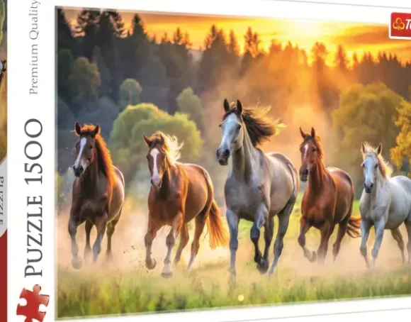 Chevaux Sauvages