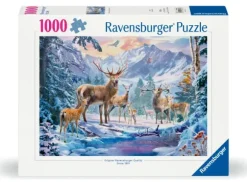 Chevreuils Et Cerfs