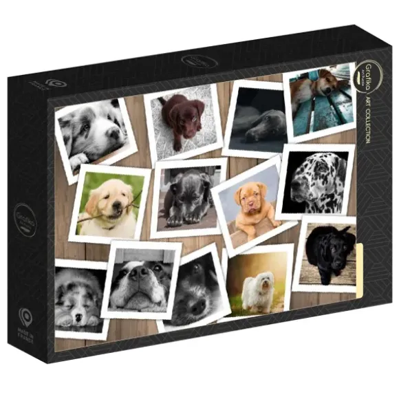 Chiens