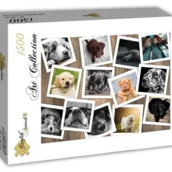 Chiens